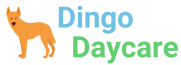 Dingo Daycare Logo